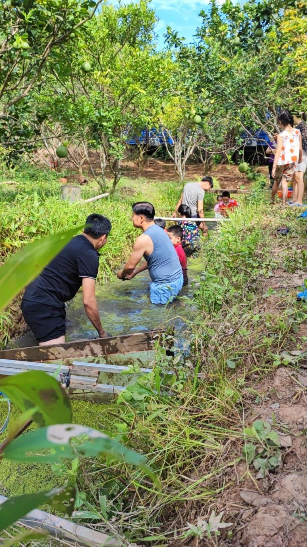 Con Phung Resort Mekong - Nature Escape With Free Boat Shuttle & Fishing Ben Tre Exterior foto